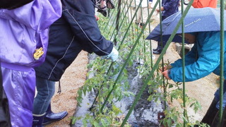 生きがい創造農園にて