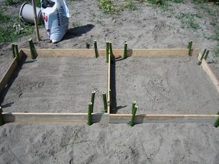 夏の必需品