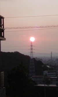 酔っぱらいが見た朝の景色。。