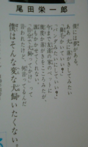 ここ数日のアタシ。。