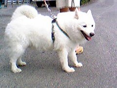 お散歩♪お散歩♪