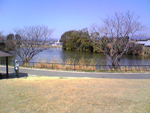 コトコト市行ってきました