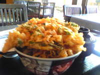 天宏　かき揚げ丼 2009/04/15 22:37:48