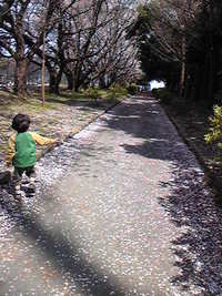 散歩 2009/04/07 00:10:27