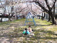 お花見 2009/04/07 18:56:05