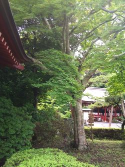 御前崎市っていいところだ！！