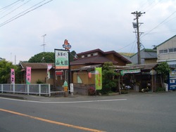 ささゆり
