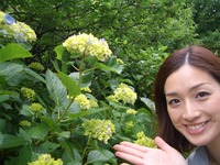 あじさいの法雲寺さん