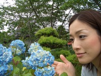 あじさいの法雲寺さん