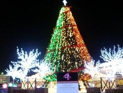 12月だよ！クリスマスだよ！ツリーだよ！