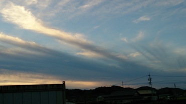 いつの間に・・・((+_+))