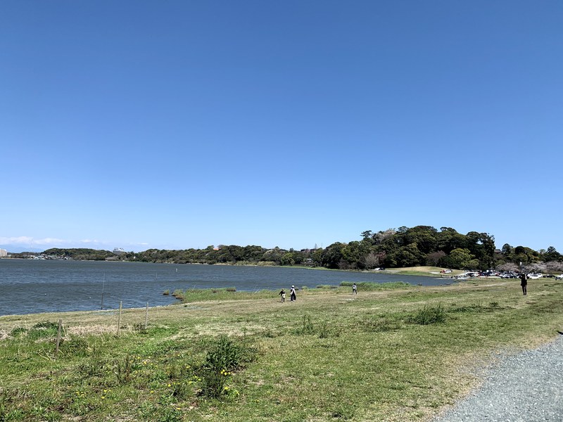 四季と自然を感じられる住まい【セキュレア佐鳴湖公園南Ⅱ】