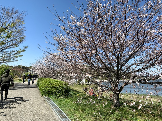四季と自然を感じられる住まい【セキュレア佐鳴湖公園南Ⅱ】