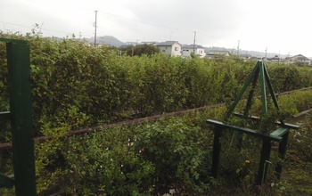 選定作業？