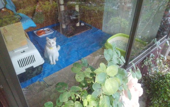 軒下貸せたつもりが～。