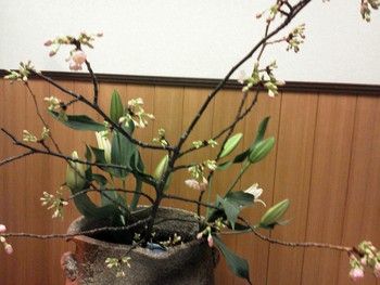 微かに近ずく、春の色。