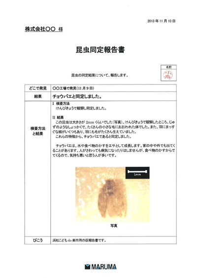 ☆お仕事体験紹介『害虫駆除』