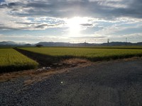 念願の９０切 2021/09/07 05:55:16