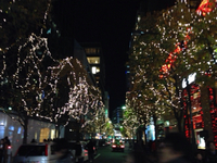 イルミネーションの去年と今年 2014/12/25 16:18:25
