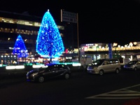Hamazo 始めました 2014/12/23 14:54:03