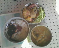 今日は暖かいです。 2009/01/27 12:41:35