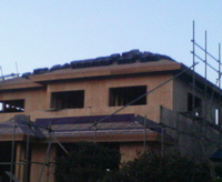 二階屋根に 2009/01/27 21:46:29
