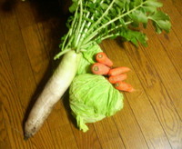 野菜を頂きました。 2009/02/04 20:46:43