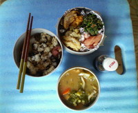 今日もお花見気分のお昼です。 2009/02/05 12:33:52