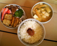 今日は、暖かなお昼です。 2009/03/05 12:21:25