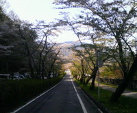 仕事が半日で
