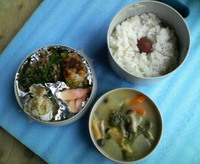 雨が降ってきました。 2009/04/21 12:26:18