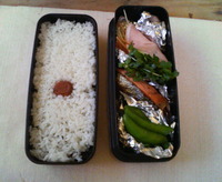 一人でお昼です。 2009/05/13 12:07:00