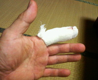 ブログをさぼっていたので、 2009/08/01 21:13:29