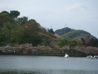 蓮華寺池公園（*^_^*）