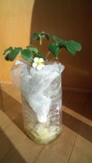昨日　(#^.^#)