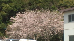 最近・・・