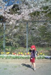 順調です(#^.^#)