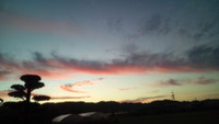 ☆　早起き　☆ 2011/11/12 06:35:07