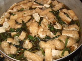 春爛漫