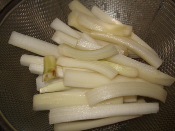 春爛漫
