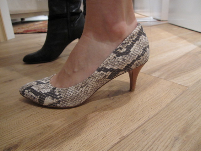 showroom session