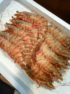 お魚市場に買い出し。