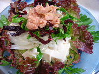 豆腐のサラダ 2010/02/16 19:15:36