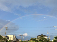 今年を振り返って