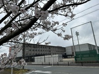 桜満開の入学式 2024/04/05 22:41:40