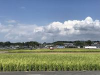季節を感じながら車で走り回っている「はまぞう」です。お問合せはお気軽に！ 2020/09/09 16:40:56