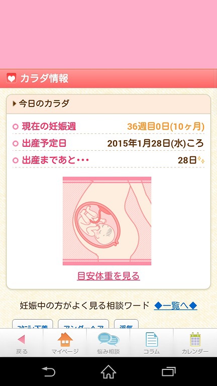 ついに臨月