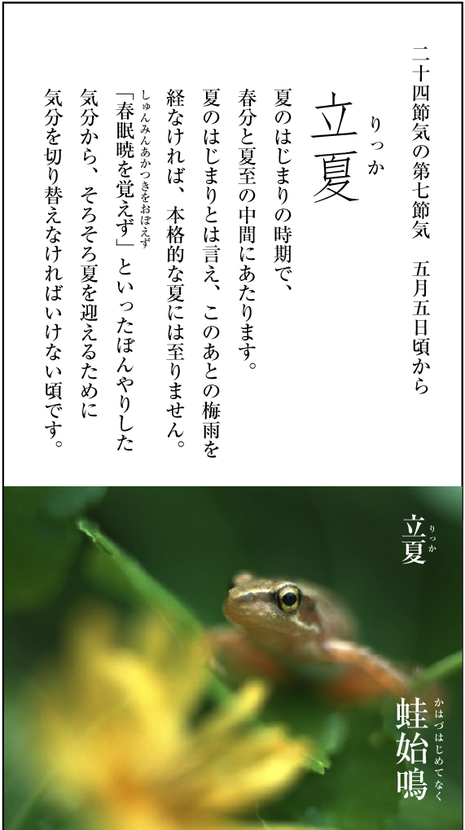 歳時記　第七節気「立夏」