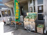 オイスカ専門学校との協同事業！野菜販売 2014/04/03 15:47:54