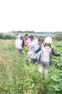第３回目の自然農塾の様子・・・